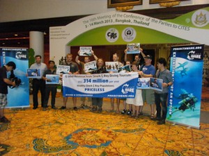 Project AWARE’s, petition represents Saving sharks and rays support from 228 countries around the world with the Asian Diving Club Padi/Cmas/Adip 5* IDC Dive Accademy Thailand Diving Pattaya